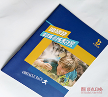 �O(sh��)ʩ��ُӡˢ